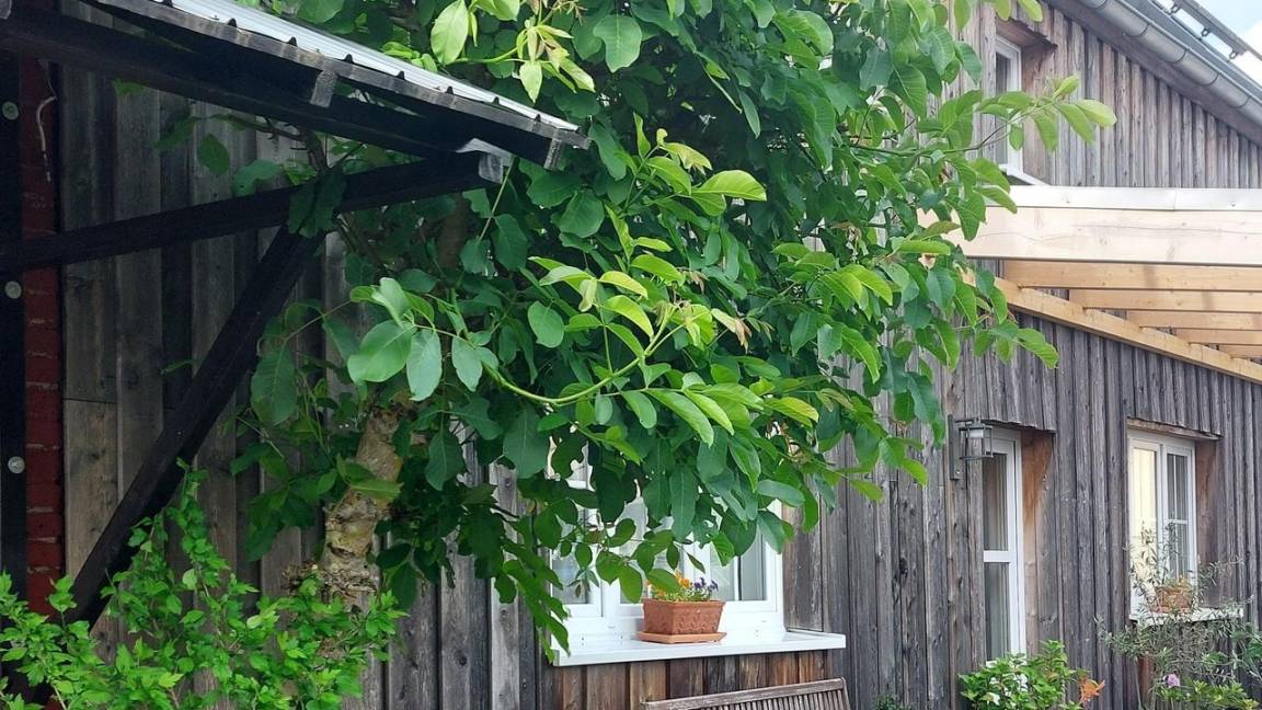 56 M² Ferienwohnung ∙ 1 Schlafzimmer ∙ 4 Gäste - Altenkirchen