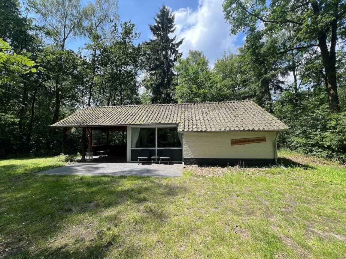 foto19