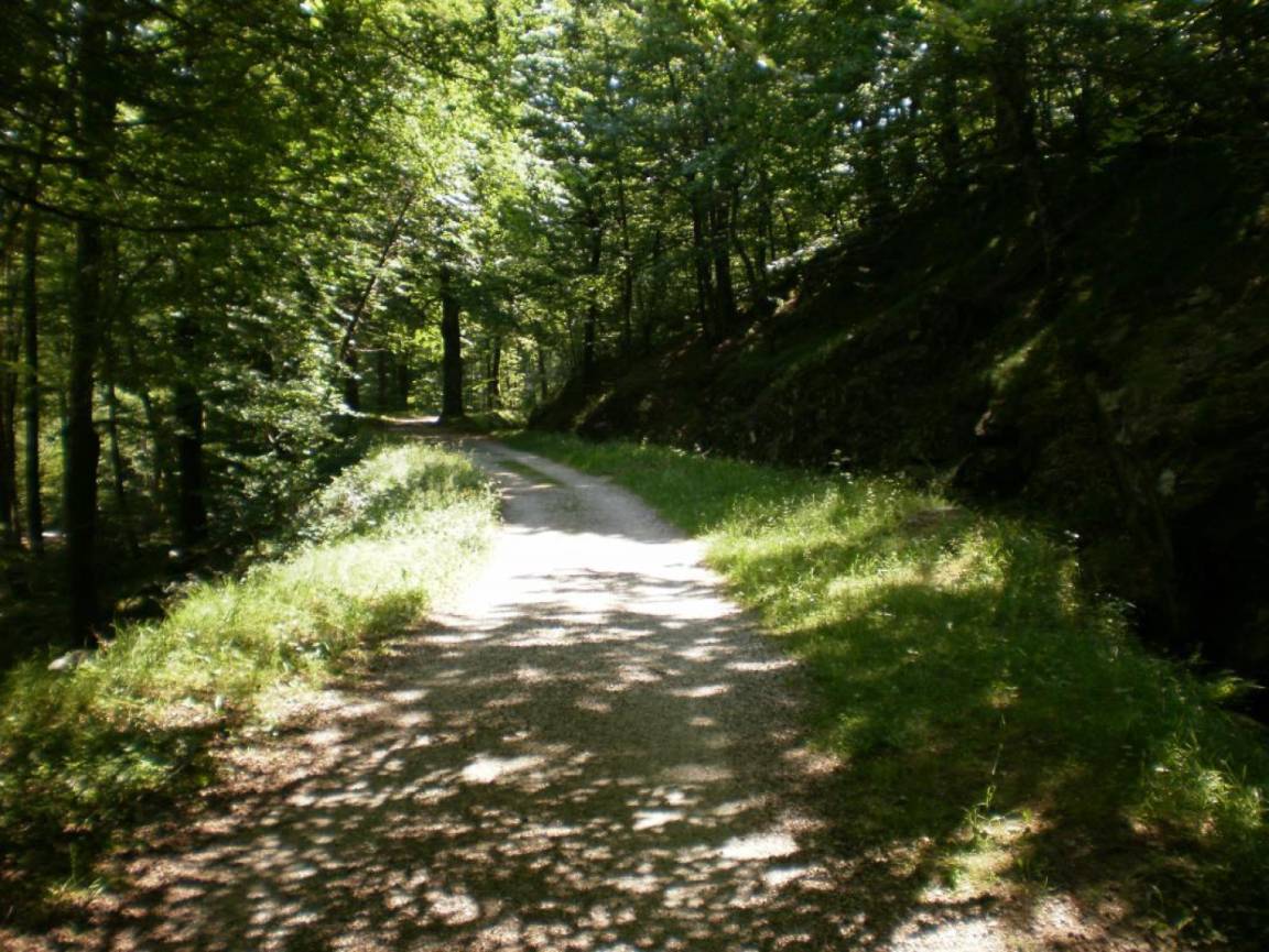foto23