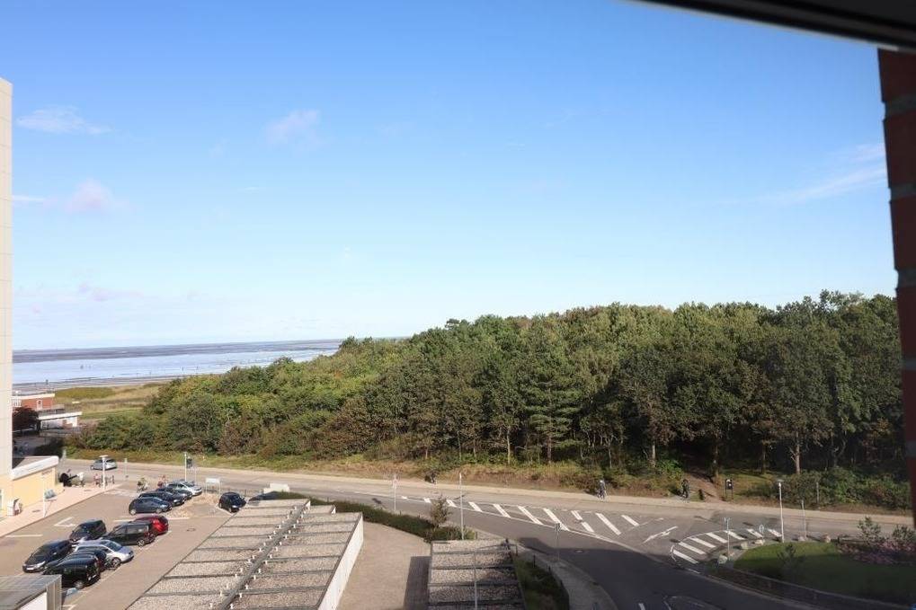 foto6