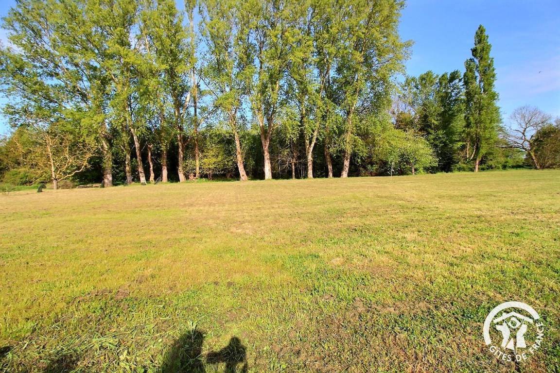 foto40
