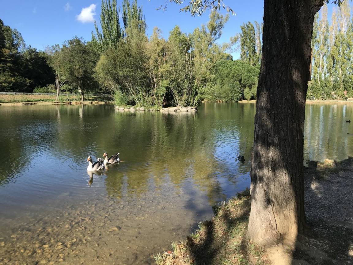foto28
