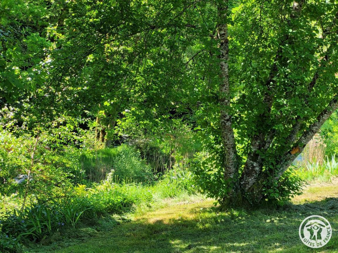 foto28