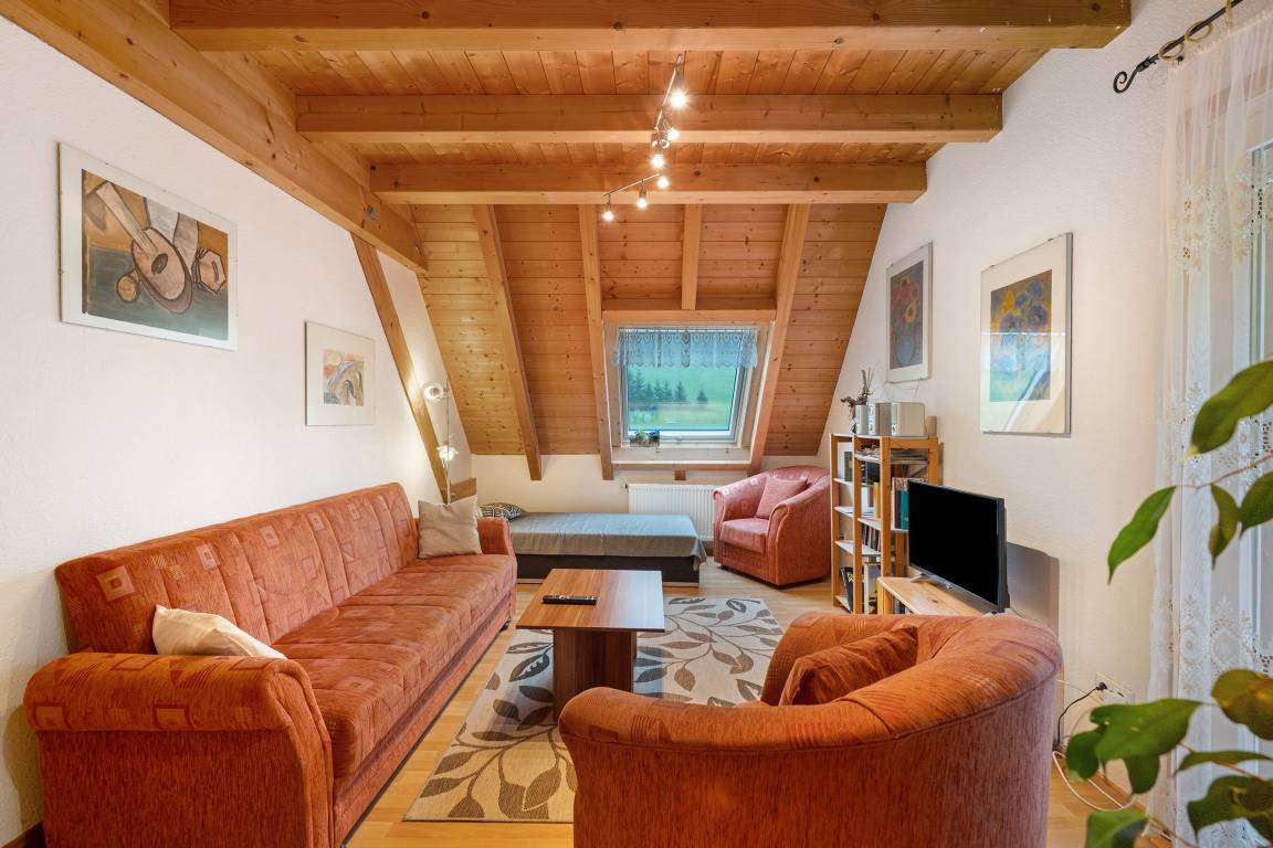 52 M² Apartment ∙ 1 Bedroom ∙ 3 Guests - Triberg