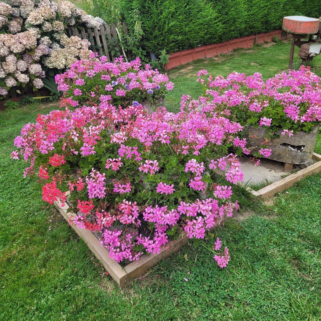 foto44