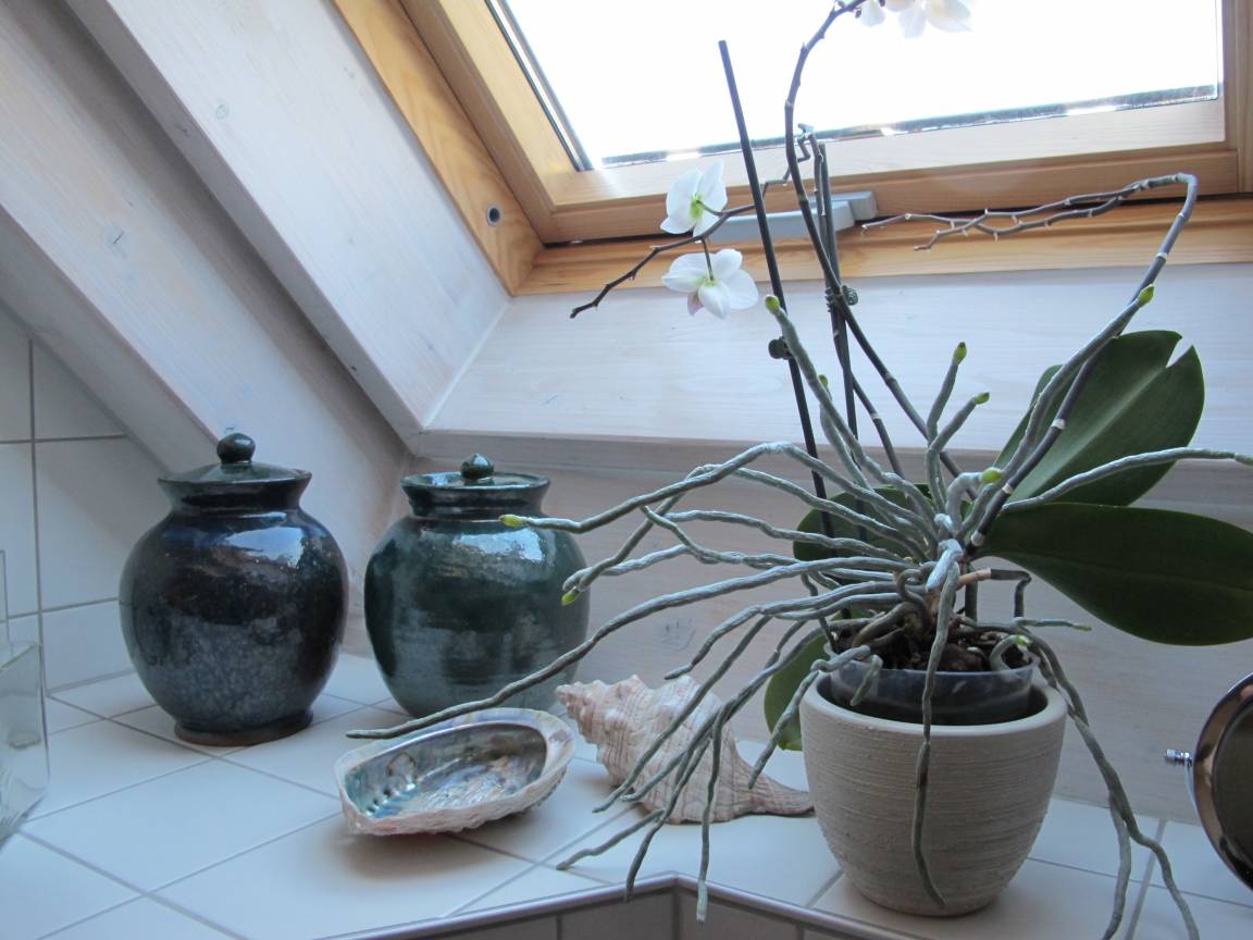 75 m² Ferienwohnung ∙ 1 Schlafzimmer ∙ 2 Gäste – Bild 7
