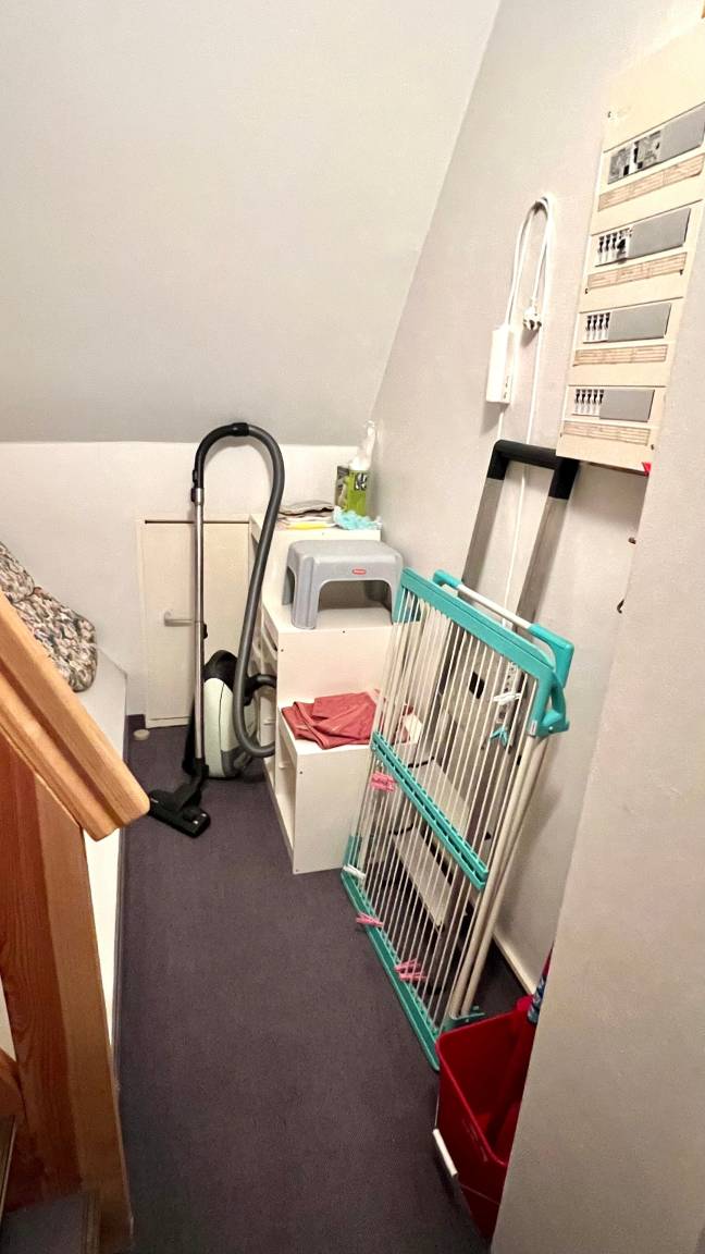 foto15