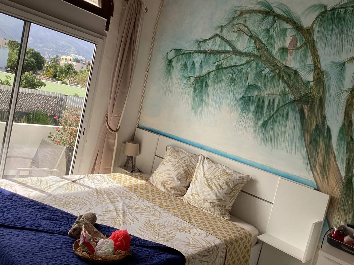 20 M² Studio Flat ∙ 1 Bedroom ∙ 2 Guests - Réunion