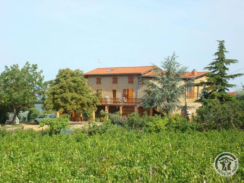 foto4