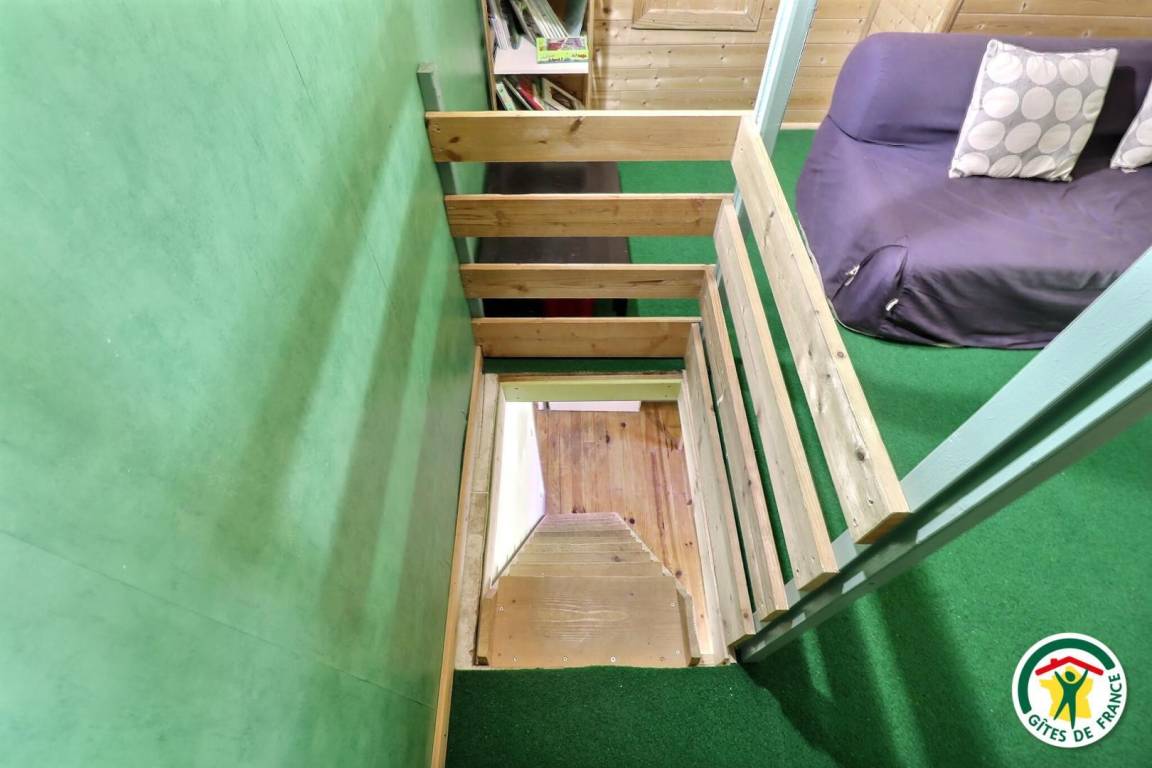 foto7