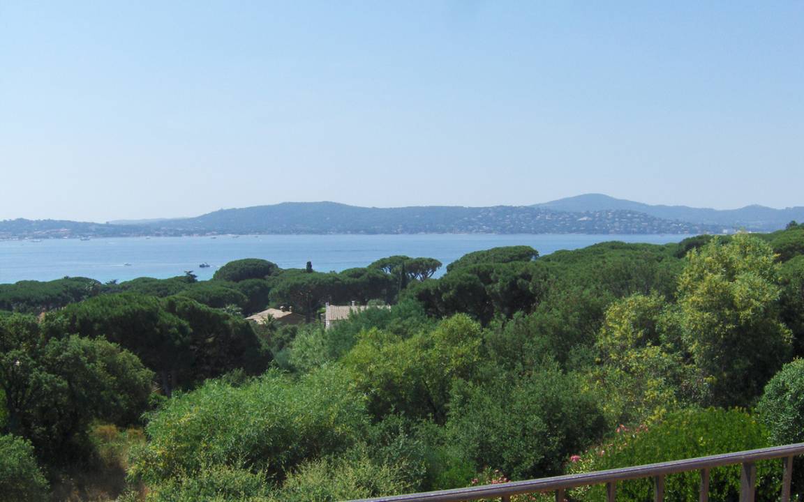 foto2