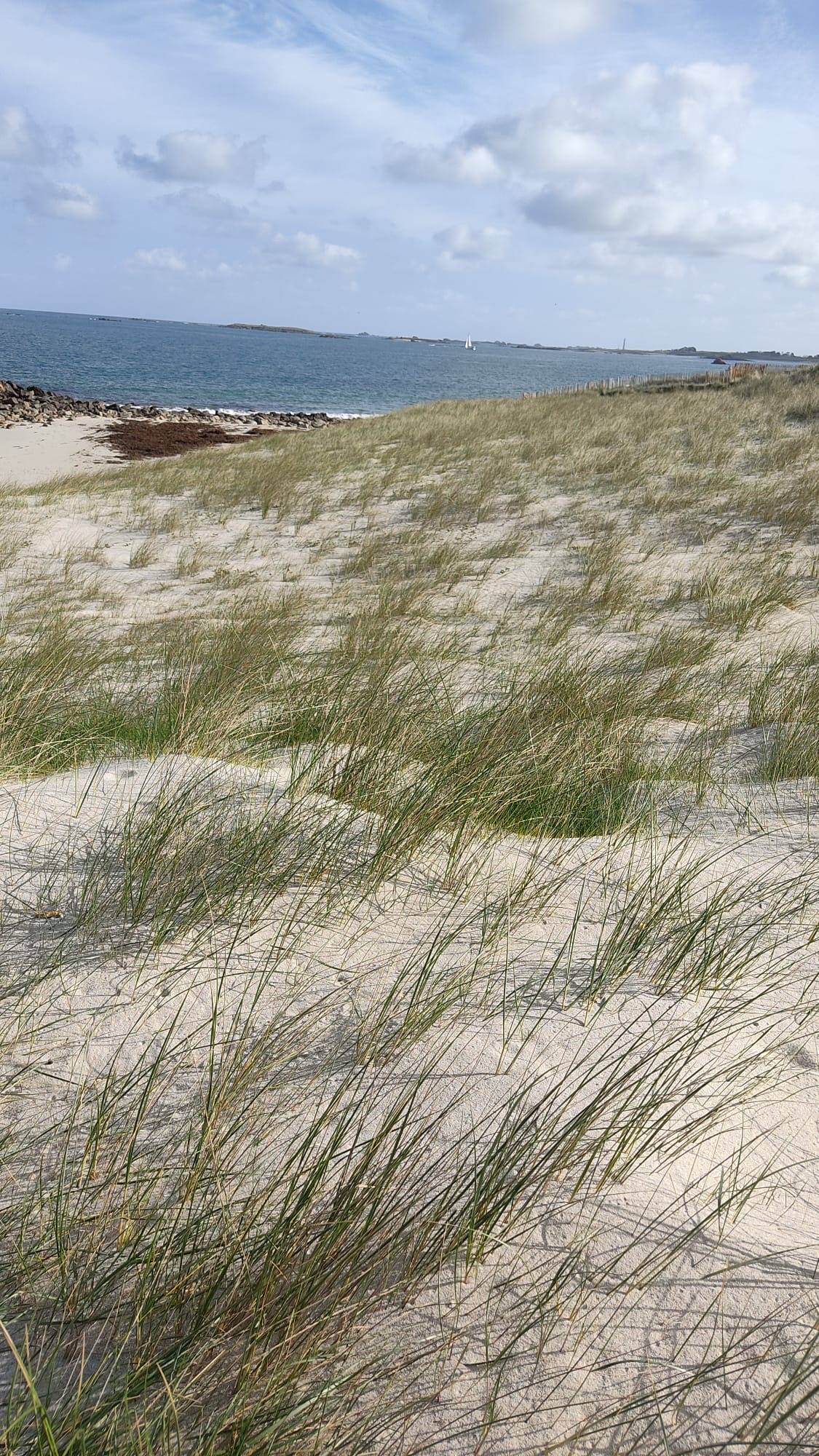 foto39