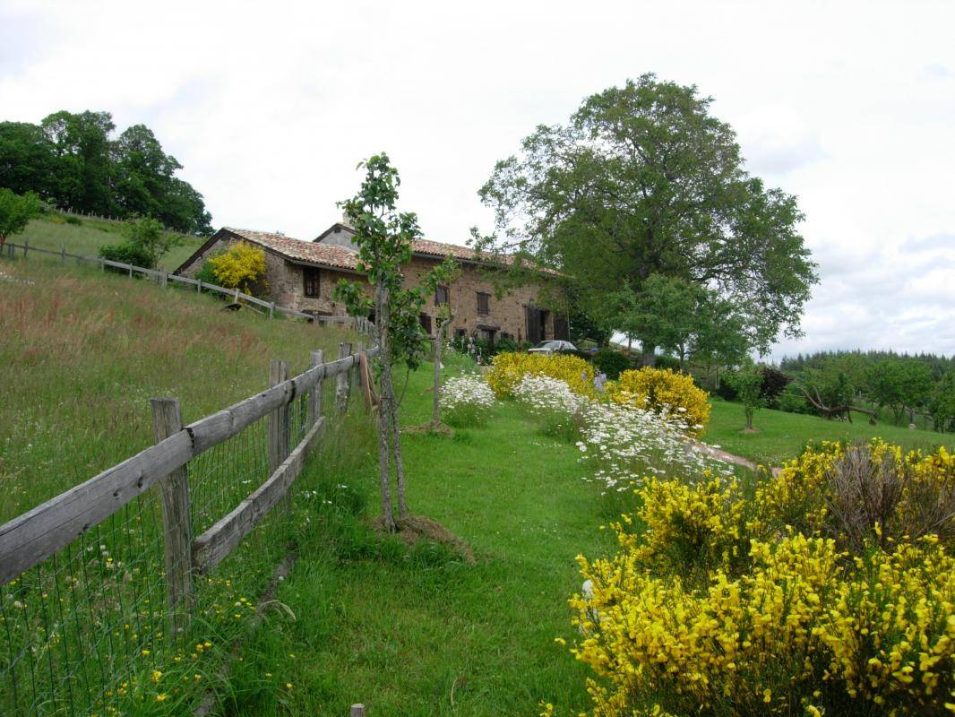 foto3