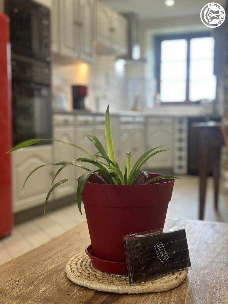 foto20
