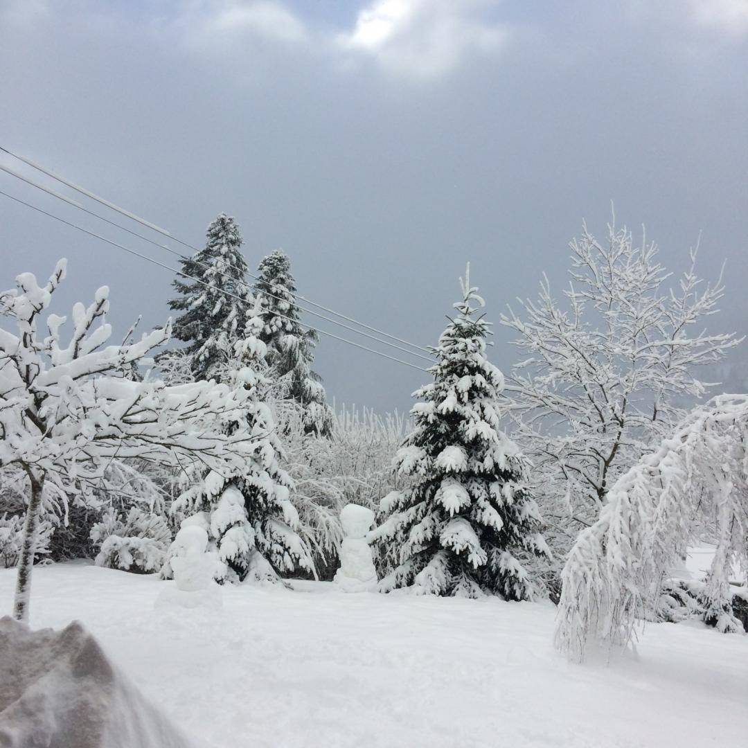 foto12