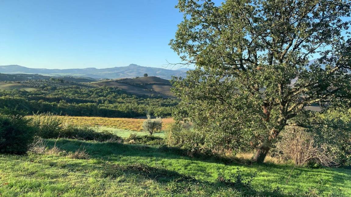 foto23