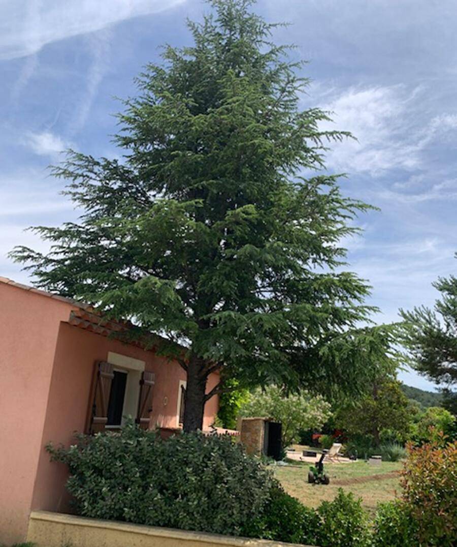 foto13