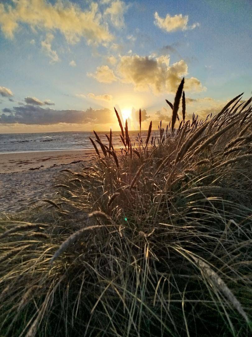 foto40