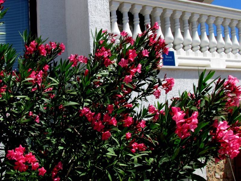 60 M² Apartment ∙ 2 Bedrooms ∙ 4 Guests - Malinska