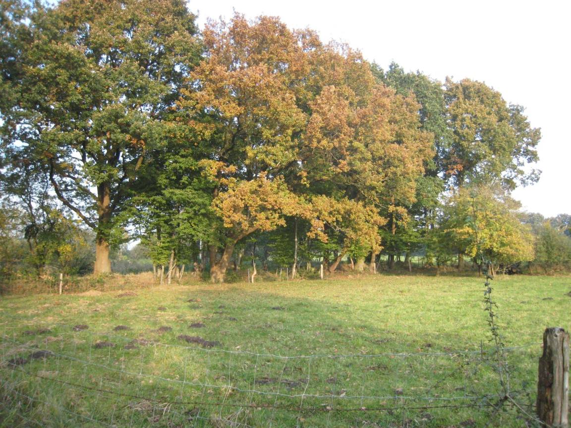foto10