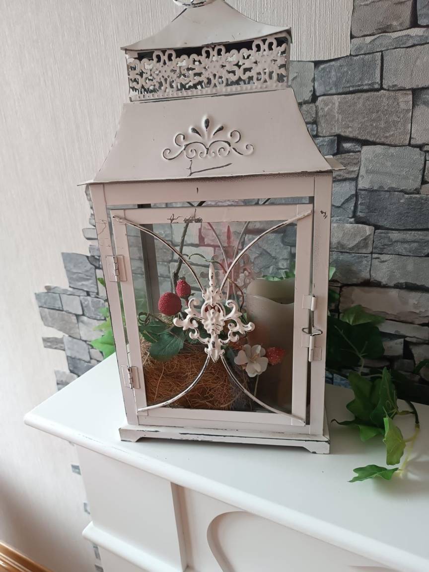 foto5