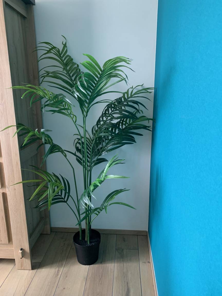 foto14