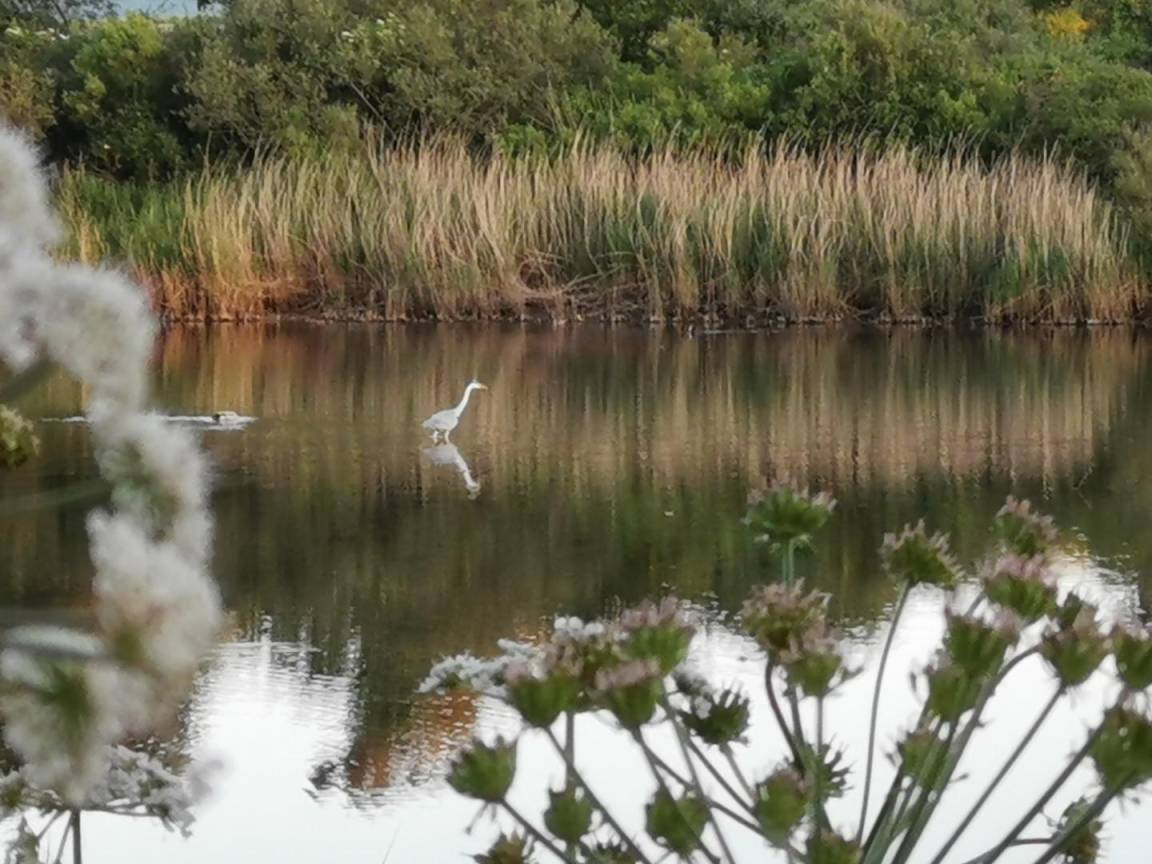 foto45