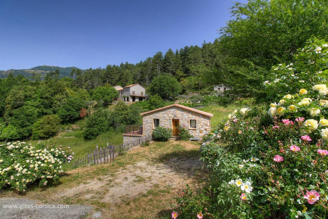 43 m&sup2; G&icirc;te 1 Schlafzimmer 2 G&auml;ste
