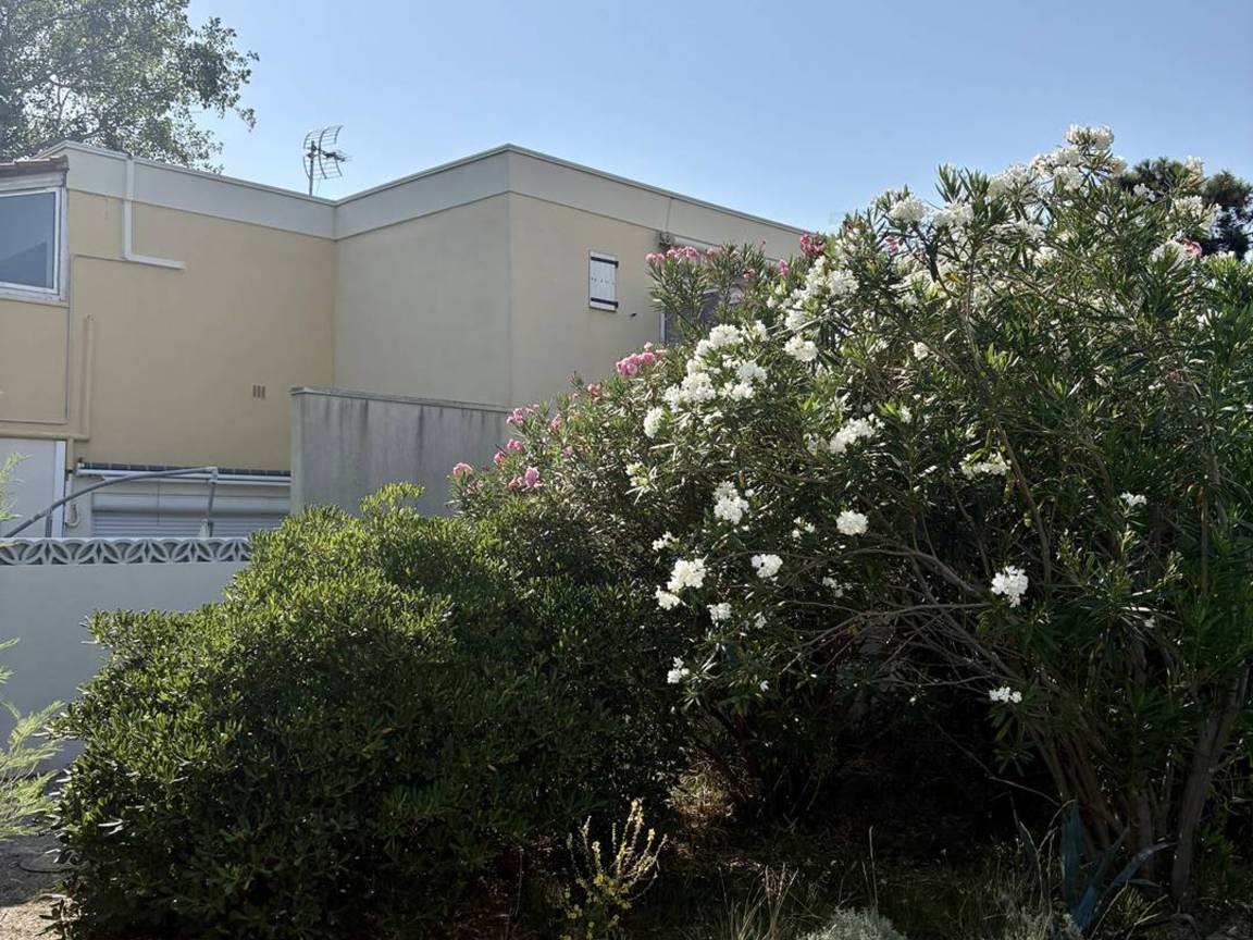 22 M² Apartment ∙ 1 Bedroom ∙ 3 Guests - Leucate