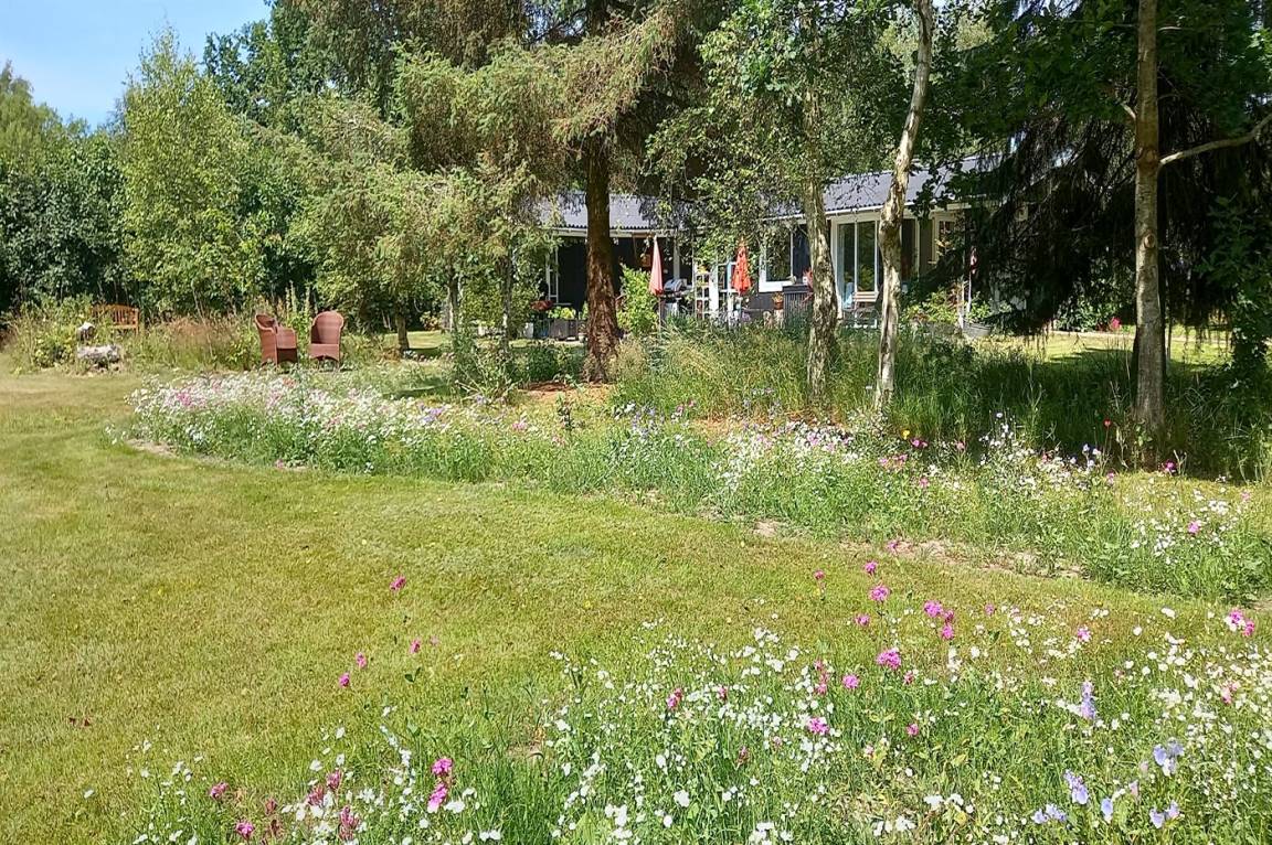 foto14