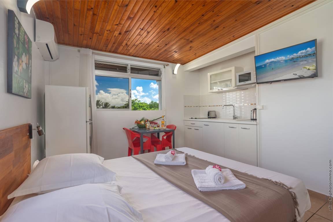 25 M² Apartamento ∙ 2 Huéspedes - Martinica