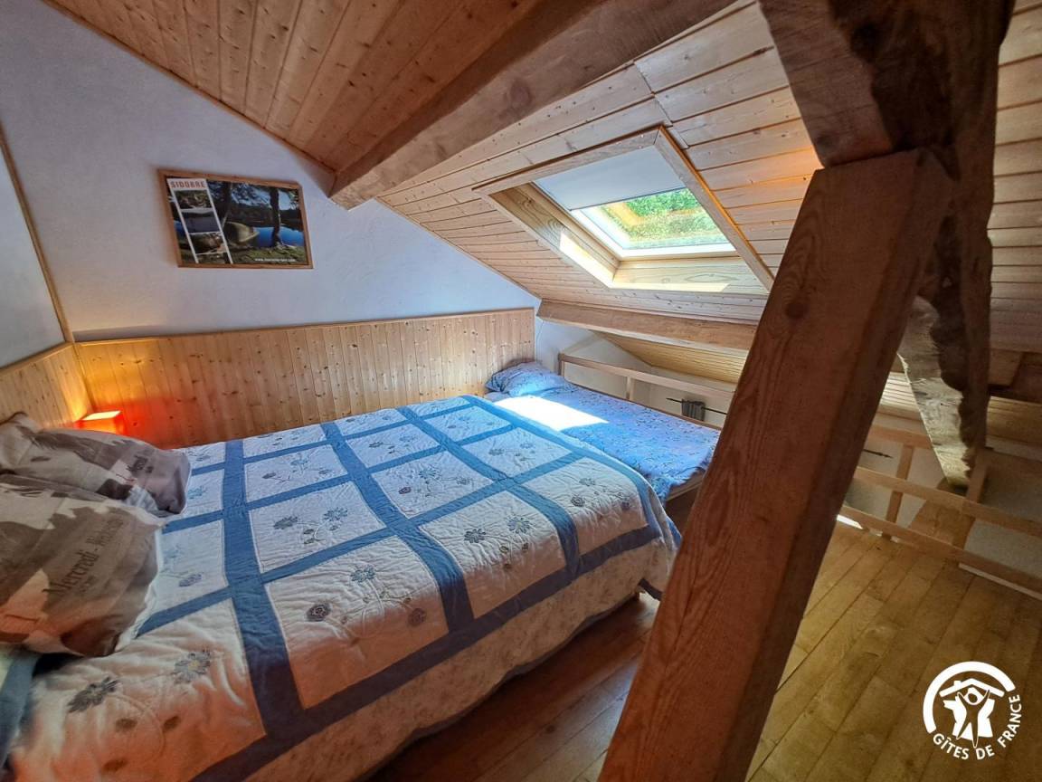 foto1