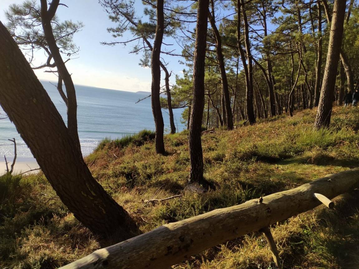 foto17