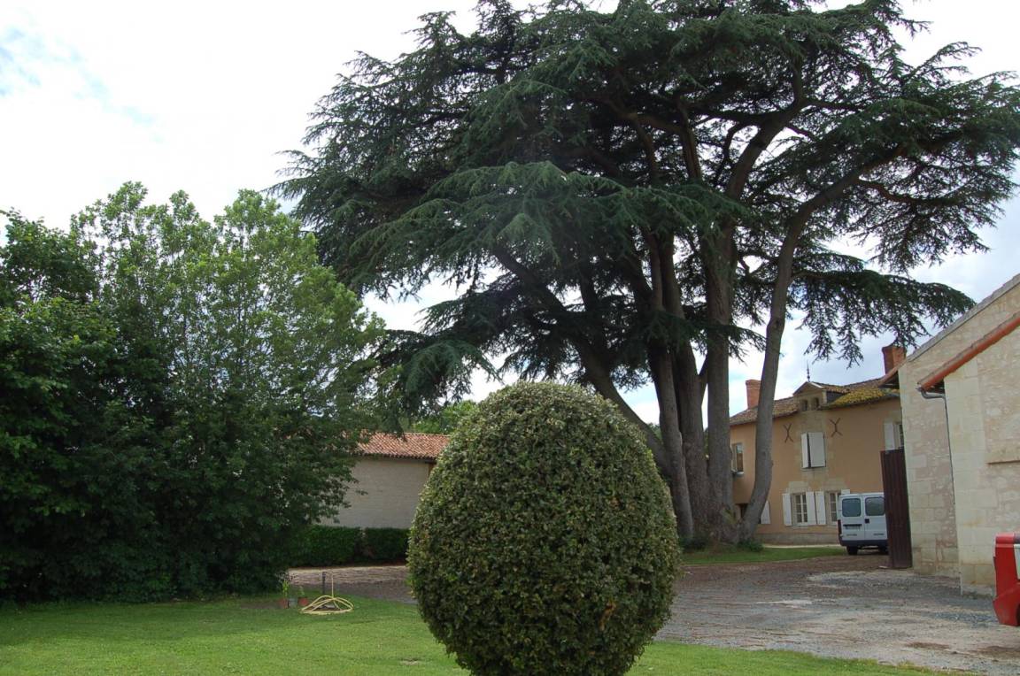 foto17