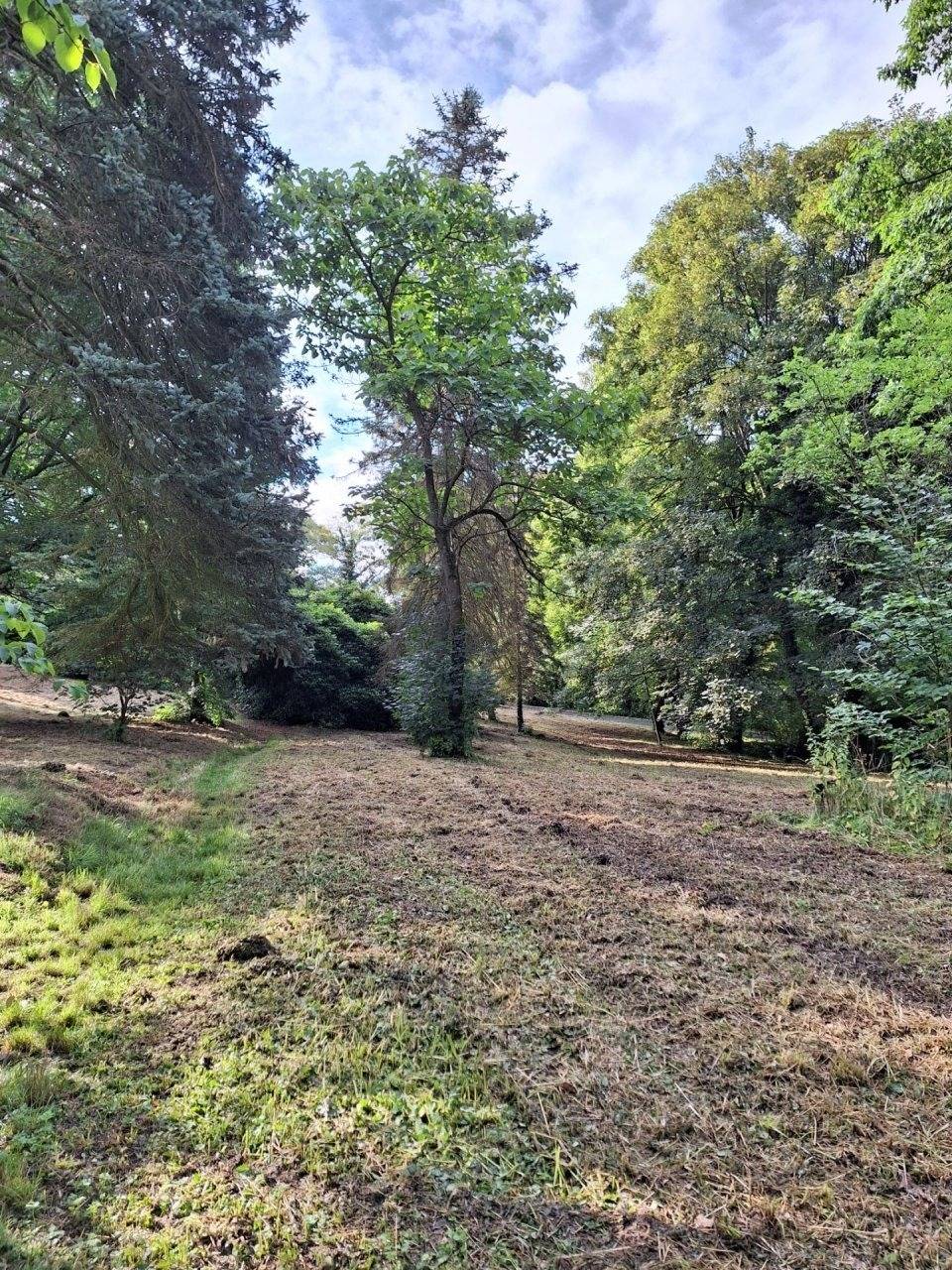 foto16