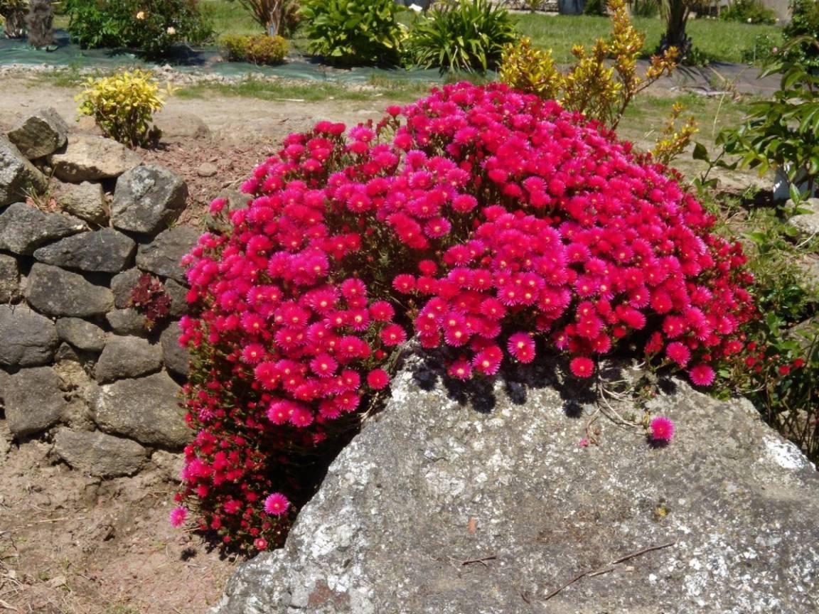 foto21