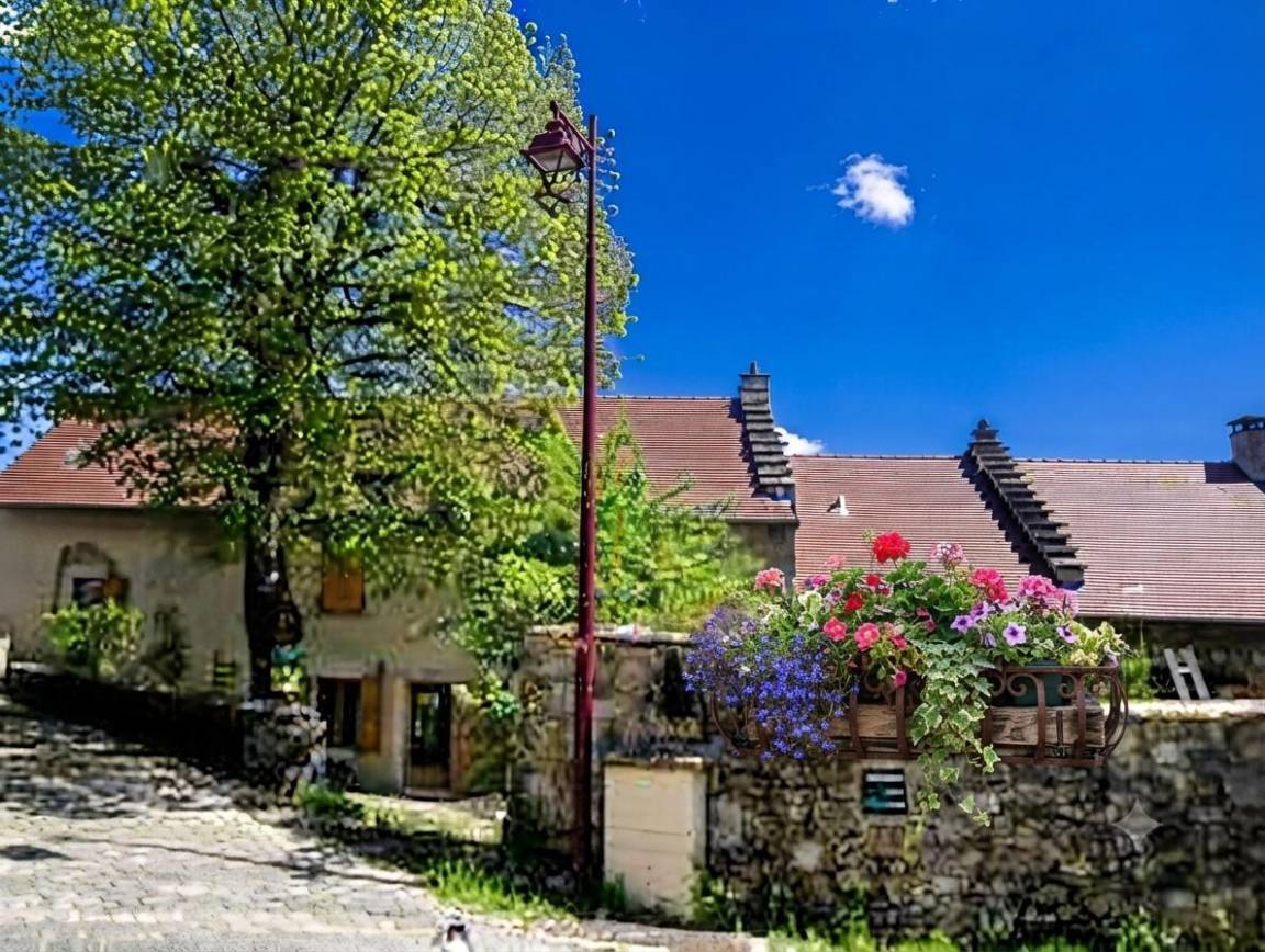 foto1
