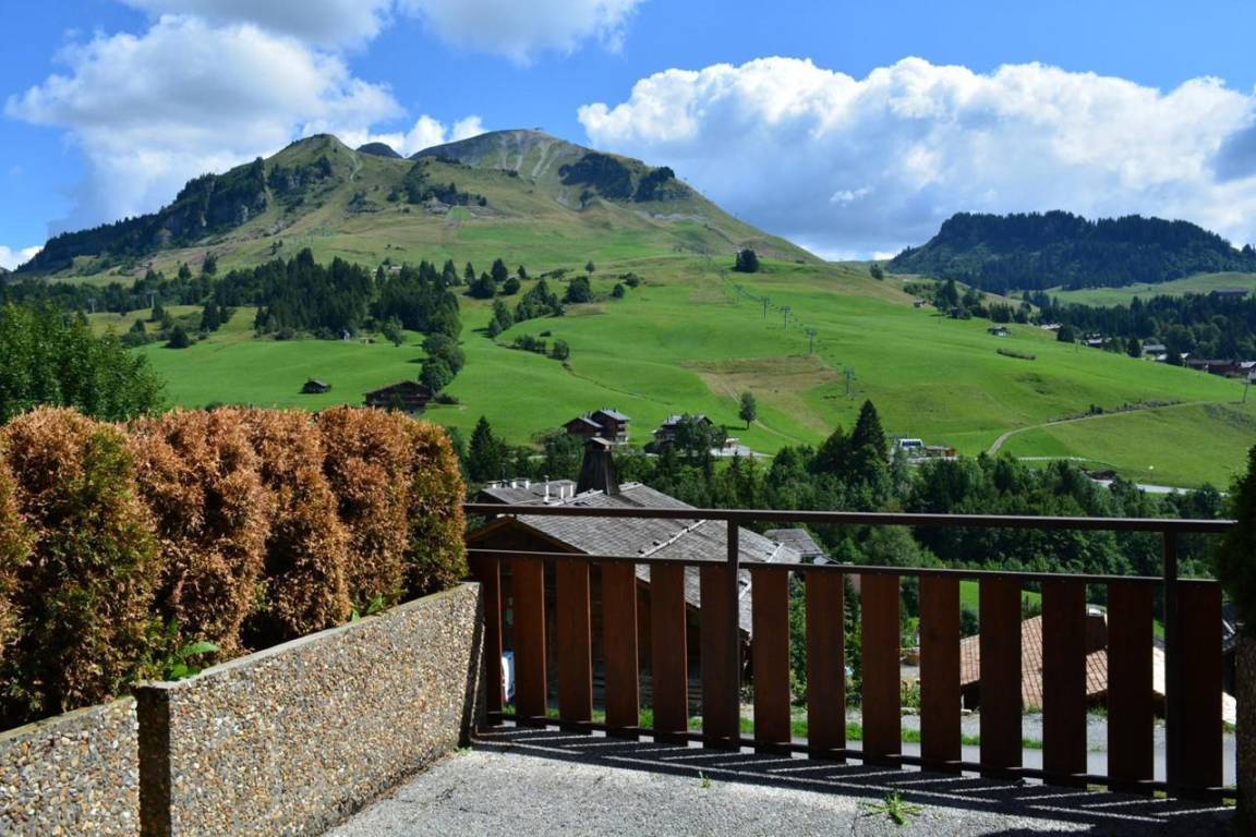 foto6