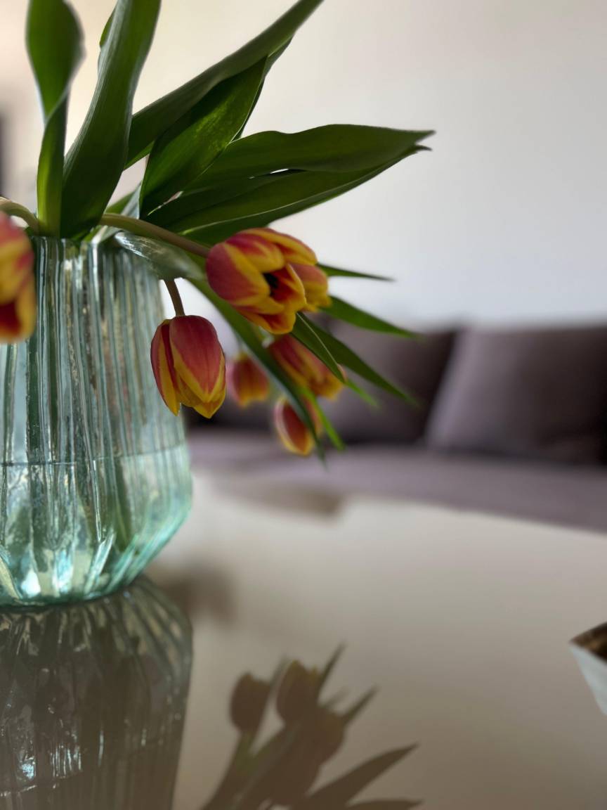 70 m² Ferienwohnung ∙ 1 Schlafzimmer ∙ 2 Gäste – Bild 7