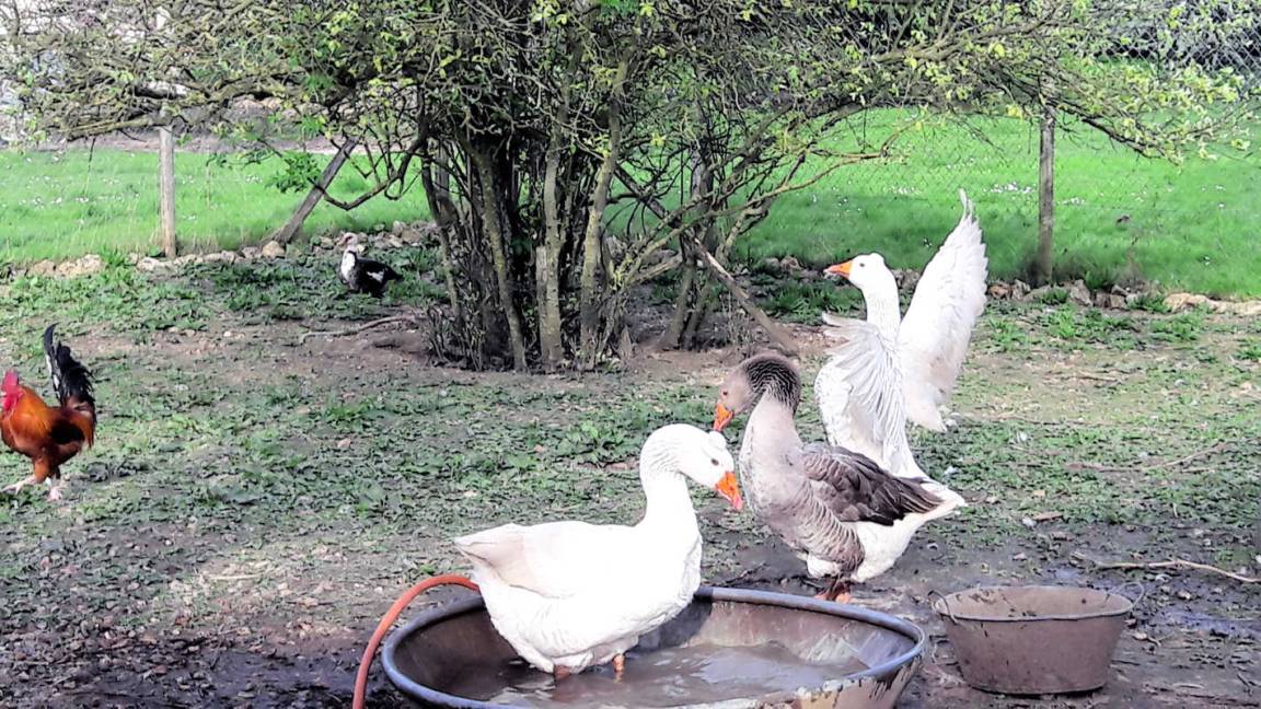 foto28
