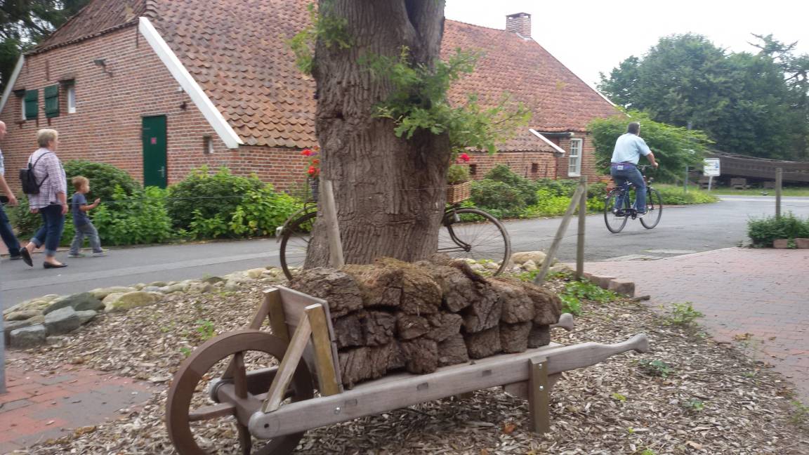 foto25
