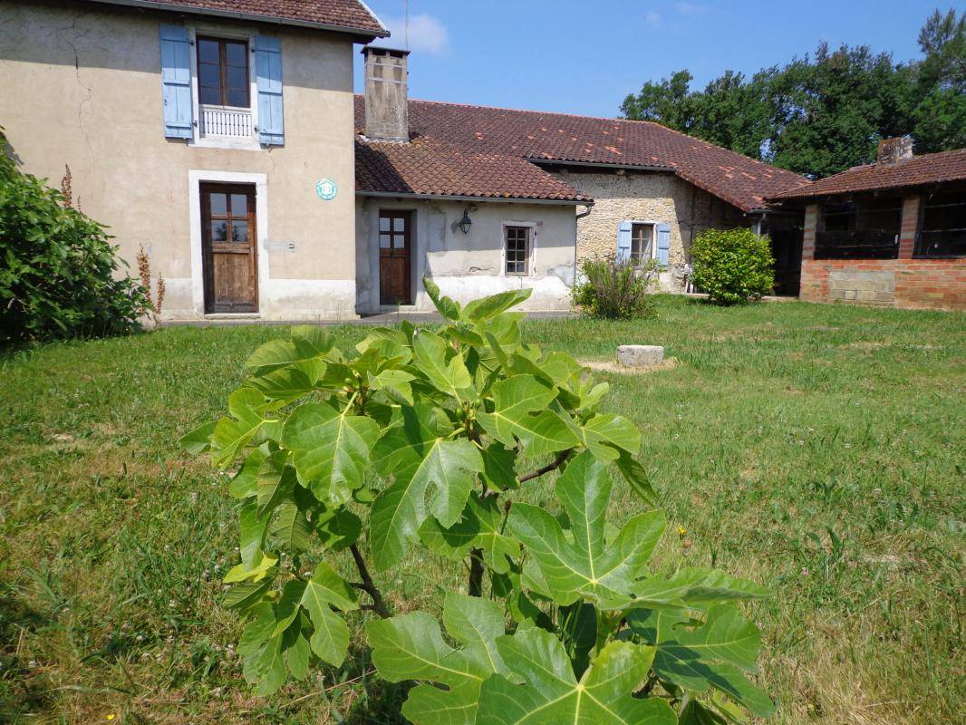 foto14
