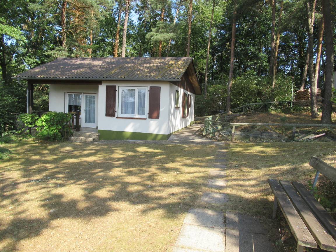 foto1