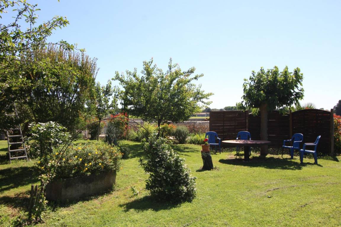 foto8