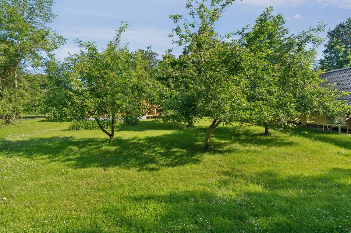 foto15