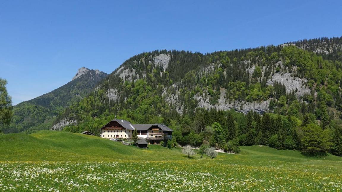 40 M² Appartement ∙ 1 Slaapkamer ∙ 2 Gasten - Mondsee