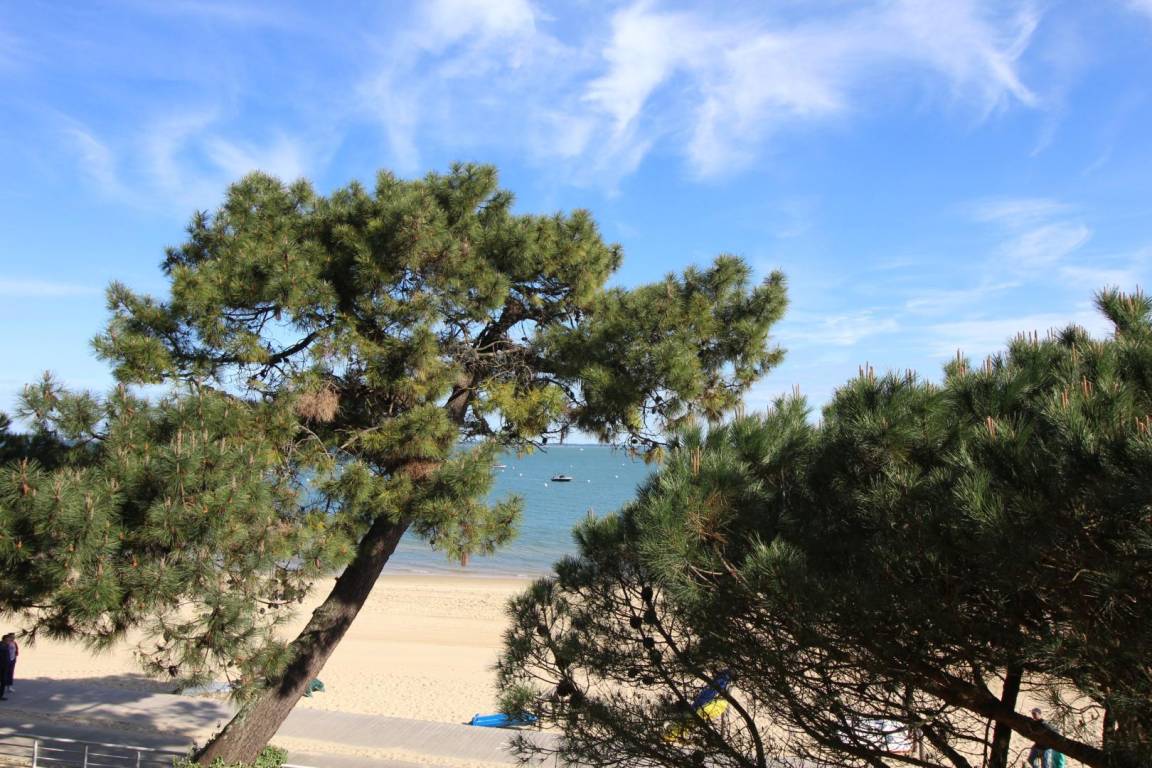 foto20