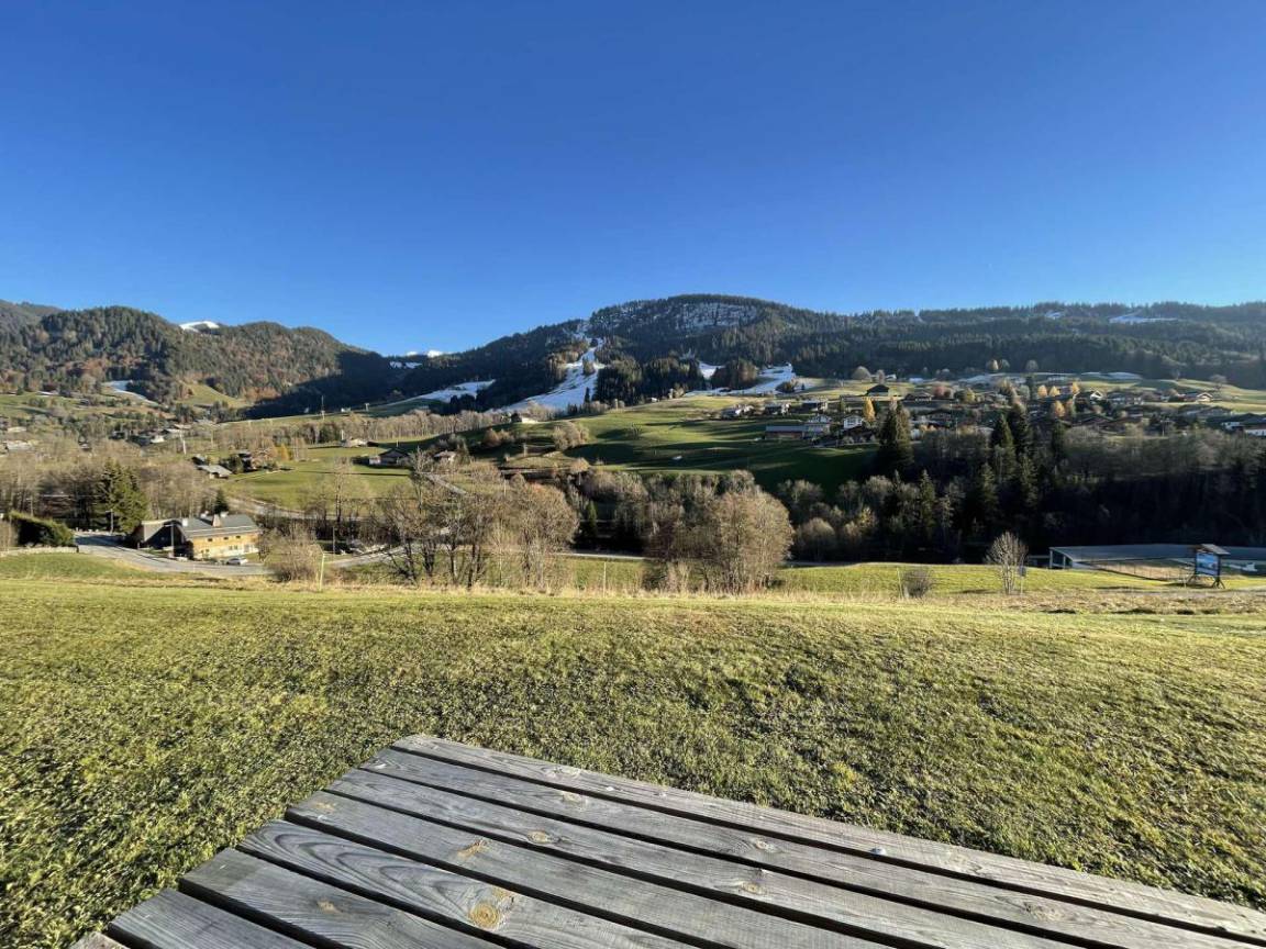 foto11