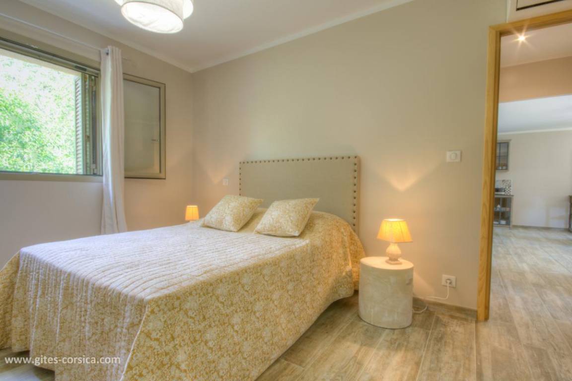 foto8