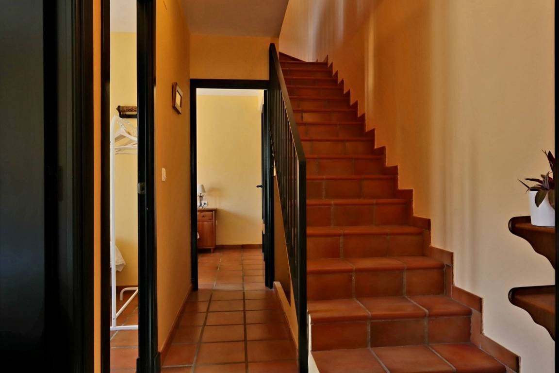 foto18